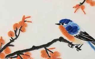 Unveiling the Origins and Cultural Significance of Magpie Symbolism