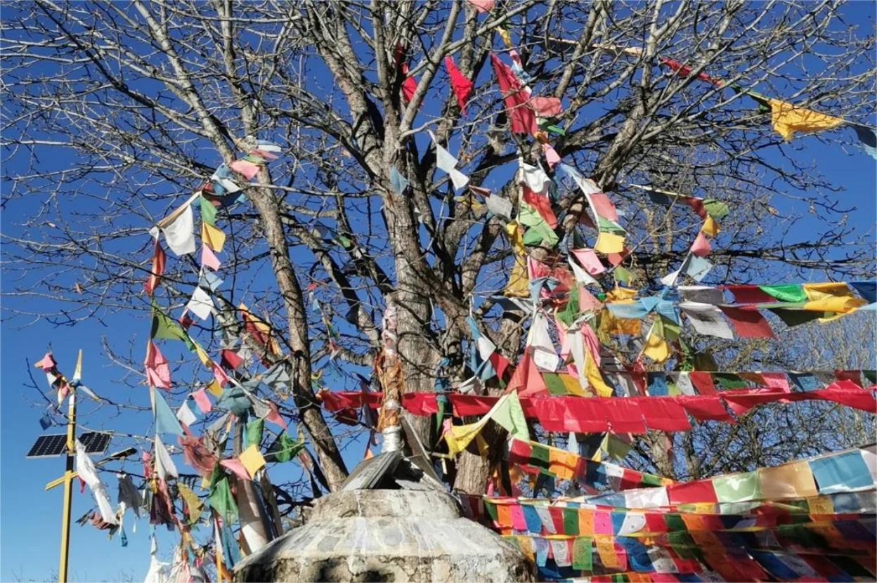 Flagging for Peace: Spreading Harmony with Buddhist Prayer Flags