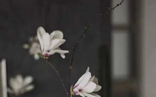 Dance and Movement in Eastern Art