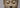 The Intriguing History of Tang Dynasty Buddha Head Statue