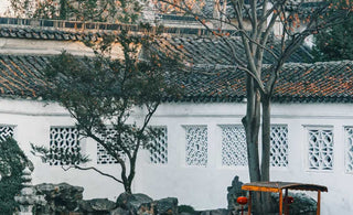 Architectural Poetry: Unveiling the Majesty of Jiangnan's Ming Dynasty Gardens