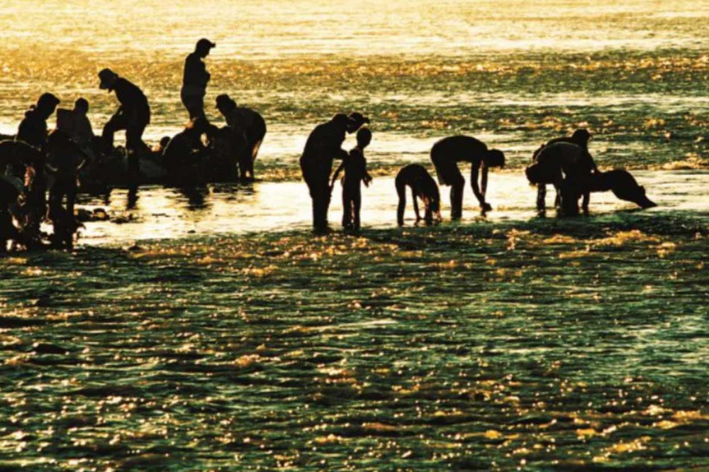 Uncovering the unique customs and traditions observed during the Bathing Week of Tibetan