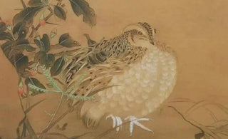 Unveiling the Origins and Legends of Magpie Bird Mythology