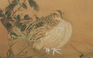 Unveiling the Origins and Legends of Magpie Bird Mythology