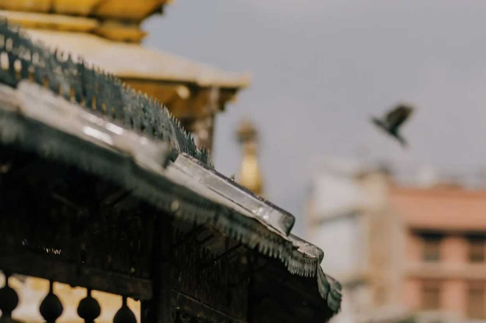 Blessings from the Roof of the World: Nepal Prayer Flags and their Blessing Power