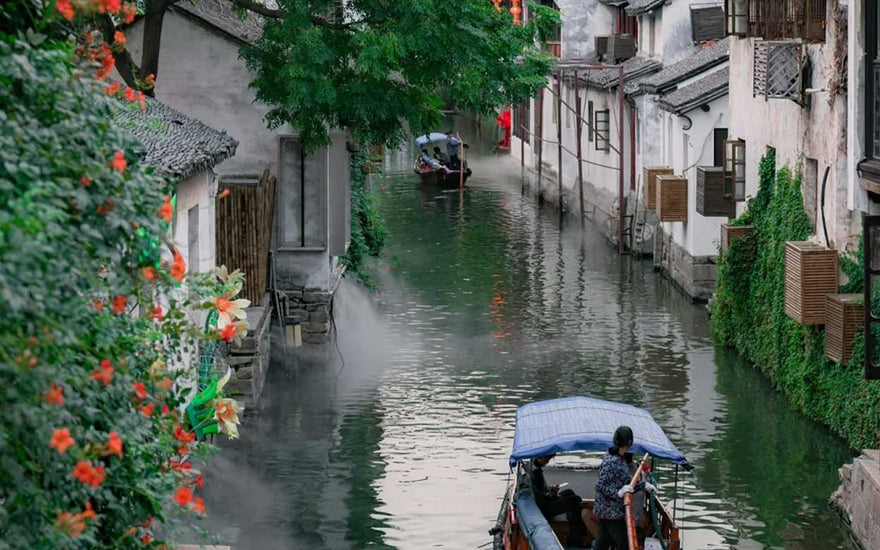 Jiangnan's Bridge Poetry: Connecting Tales of Culture and Architectural Grace