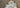 The Carving Mastery: Craftsmanship of White Jade Marble Buddha Statues