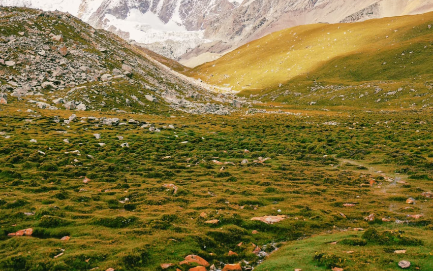 Radiant Without Blemish: Kailash Energy's Jewelry Practice and Ecological Redemption
