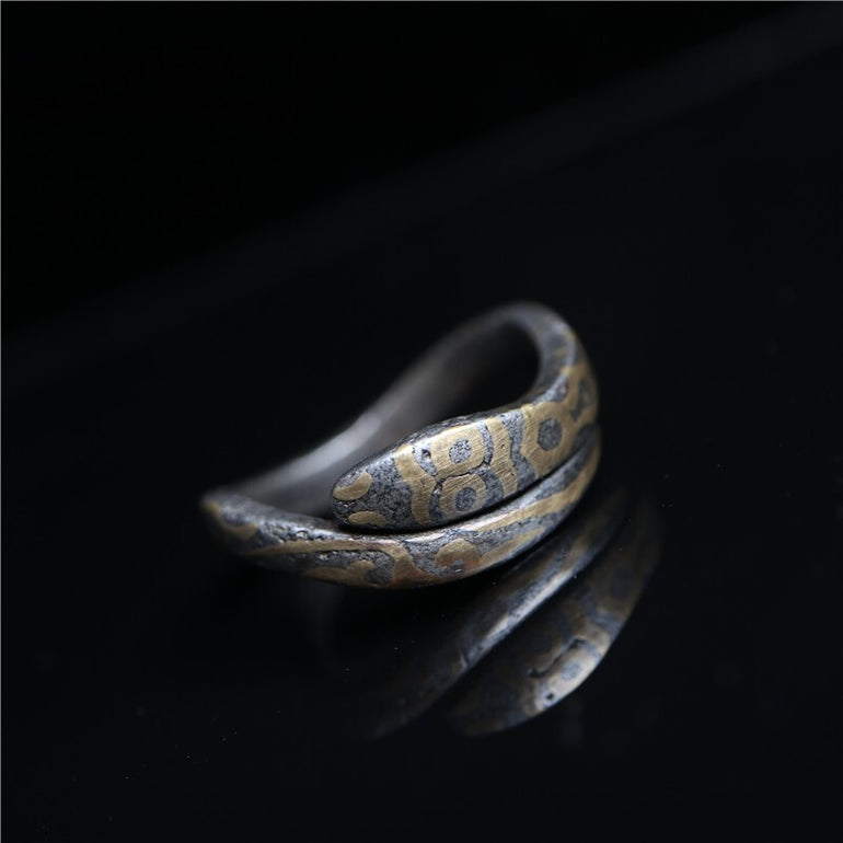 Tibetan Thokcha Iron Coiled Serpent Open Band Ring