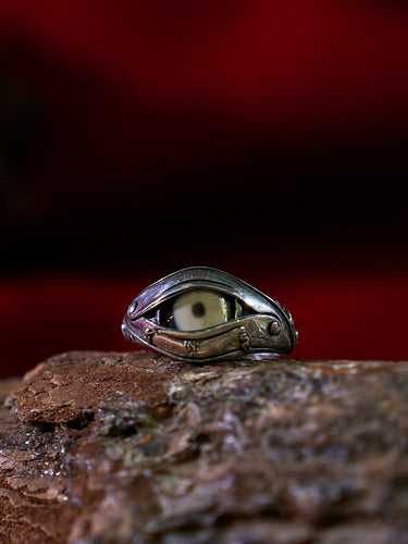 Eye of Protection Dzi Agate & 925 Silver Ring