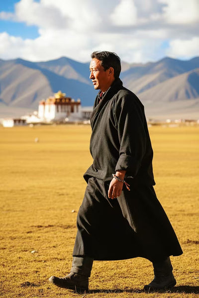 Nine Eyes Dzi Beads Tibetan Millennium Dzi Beads