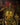 100103401 Oriental Aesthetics