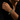 Grounded Protection Turquoise Bracelet | Turquoise, Brass & Alloy Energy Bracelet