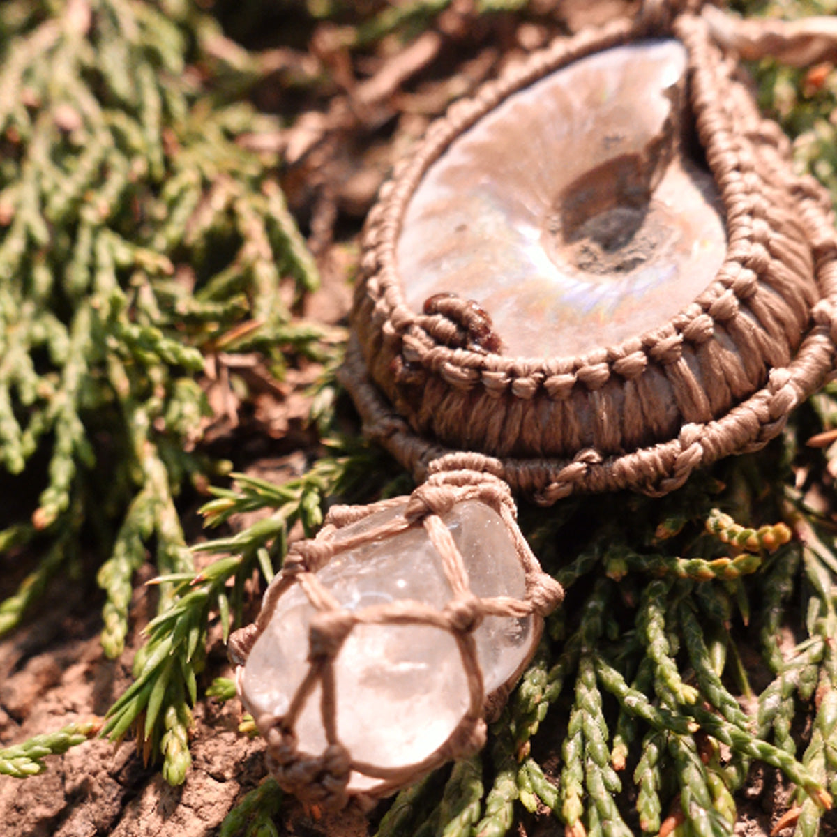 The Force Energy Clear Quartz Ammonite Pendants