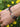 Prosperity Guardian Bracelet