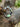 Kailash Energy