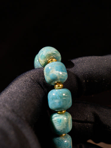 Tibetan Ocean Time Agatized Corale Bracelet