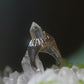 Crystalline Clarity Clear Quartz Rings