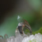 Endless Wealth Extend Green Quartz Rings