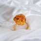 Choice Wealth Select Citrine Rings