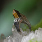 Sufficient Wealth Wrap Tiger's Eye Rings