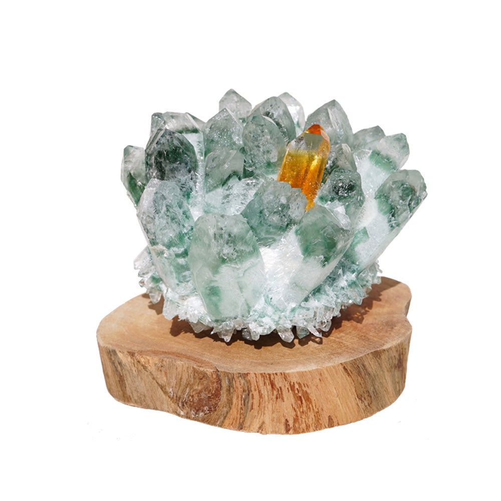 Kailash Energy Exact Wealth Green Phantom Quartz Decoration with Walnut Rosewood and Pine Base