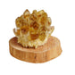 Kailash Energy Accurate Wealth Citrine Crystal Decoration with Walnut and Rosewood Base