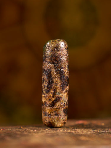 Agate “Three-Eyed Treasure Canopy” Dzi Bead