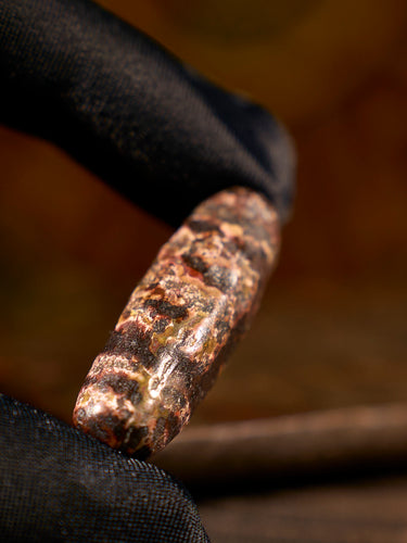 Agate “Earth Gate Two-Eyed” Dzi Bead