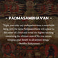 Padmasambhavan ENLIGHTEMENT Tibetan Statue for Eliminating Ignorance puretibetan