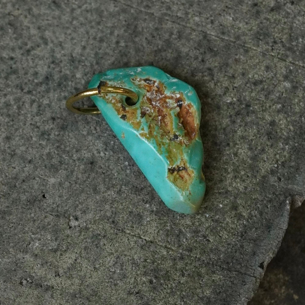 Defended Wealth Shield Unique Raw Turquoise Pendant