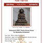 Shakyamuni SPIRIT Tibetan Bronze Statue for Eliminating All Disasters puretibetan