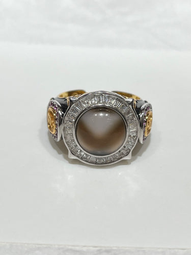 Tiger Tooth Wealth Ring – Dzi Beads with Gilded Detailing for Prosperity and Protection