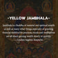 Yellow Jambhala FORTUNE Dzi Bracelet for Eliminating Poverty puretibetan