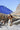 Carry My Prayer Mount Kailash Kora Pilgrimage