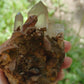 "Abundance | Tibetan Quartz Crystal | Kailash Energy Blessing | Cluster Raw Stone | High Frequency Energy" - Oriental Treasure