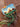 Kailash Handwoven Landscape Brooch and Bag Charm - Kailash Energy
