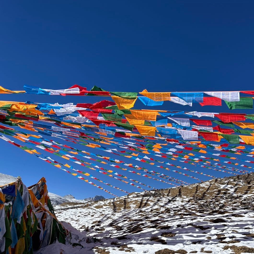 Health Prayer Flags for Hanging puretibetan